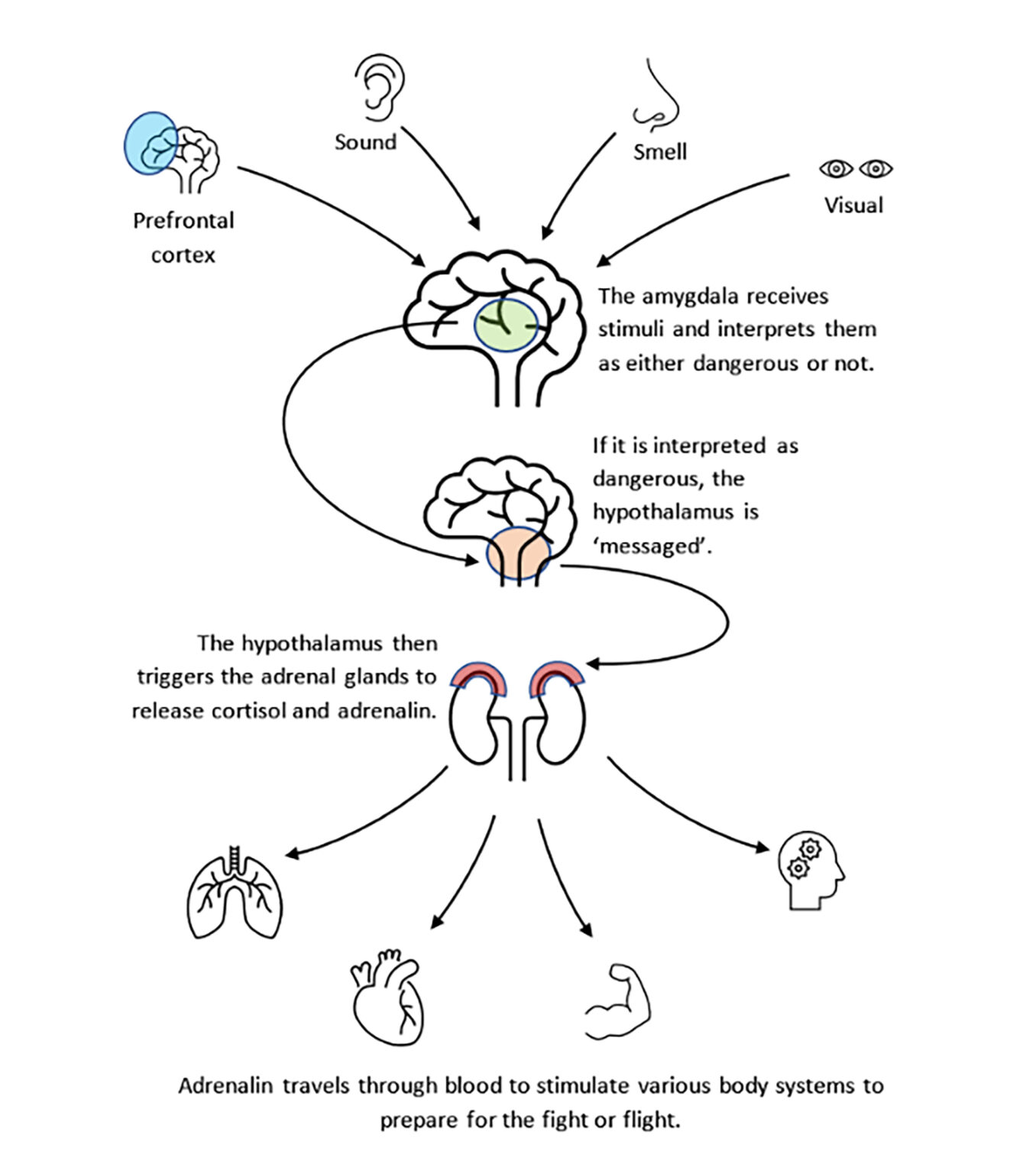 The Use of Fear to Achieve Compliance and the Acceptance of Injustice
